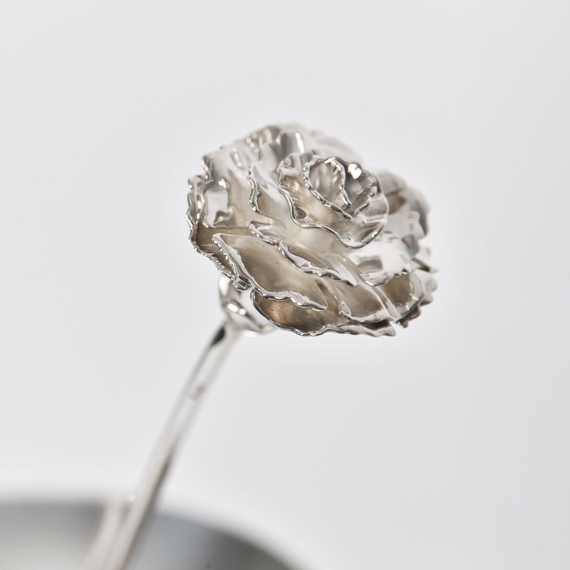 CARNATION FLOWER