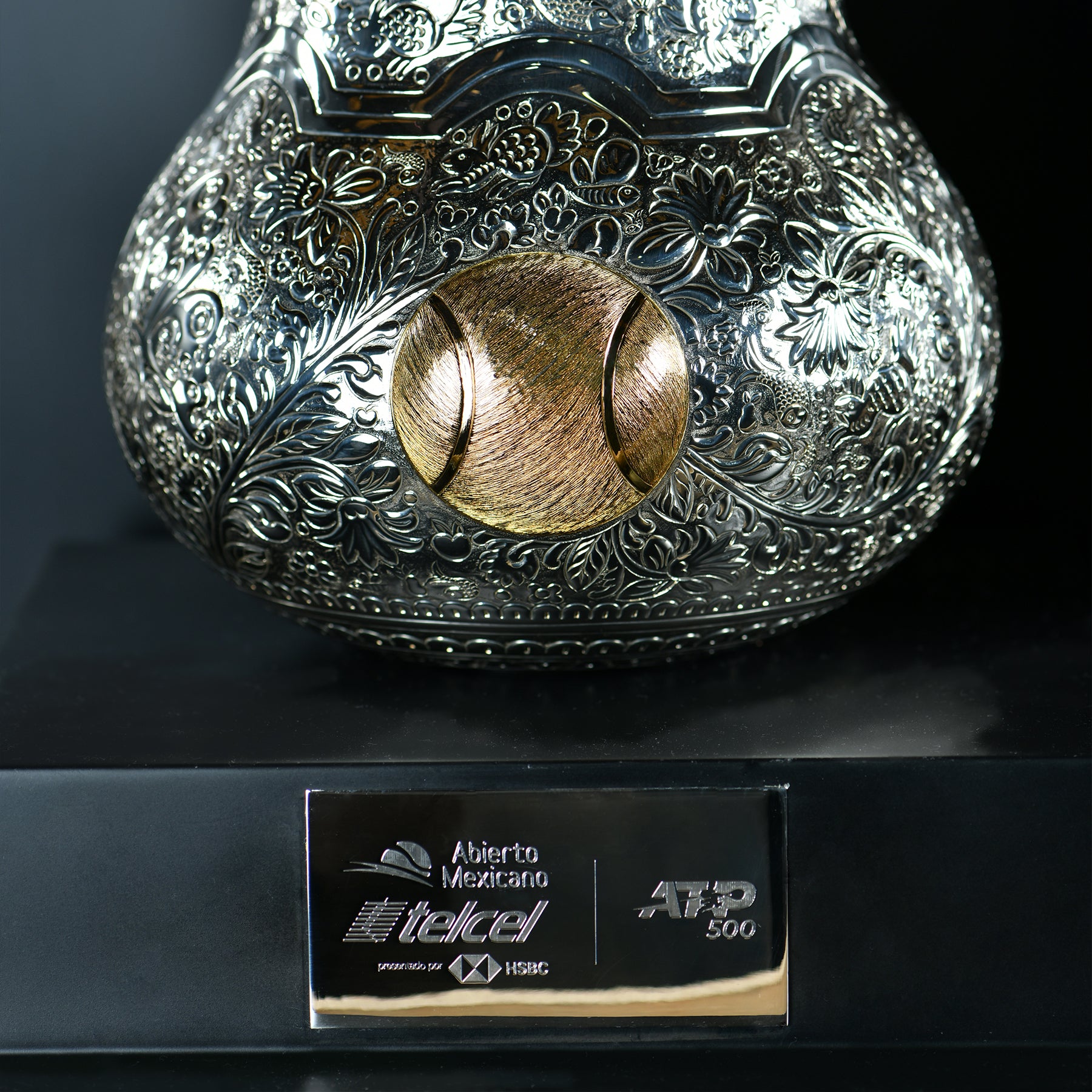 GUAJE DE OLINALÁ
