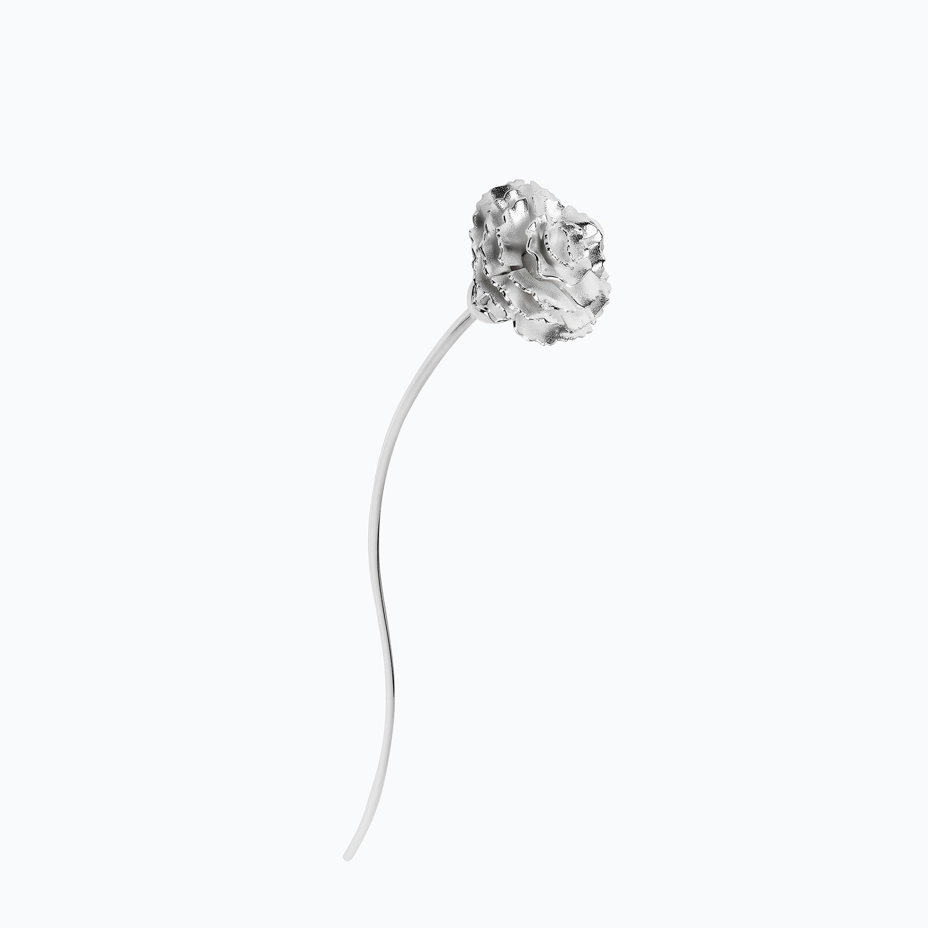CARNATION FLOWER