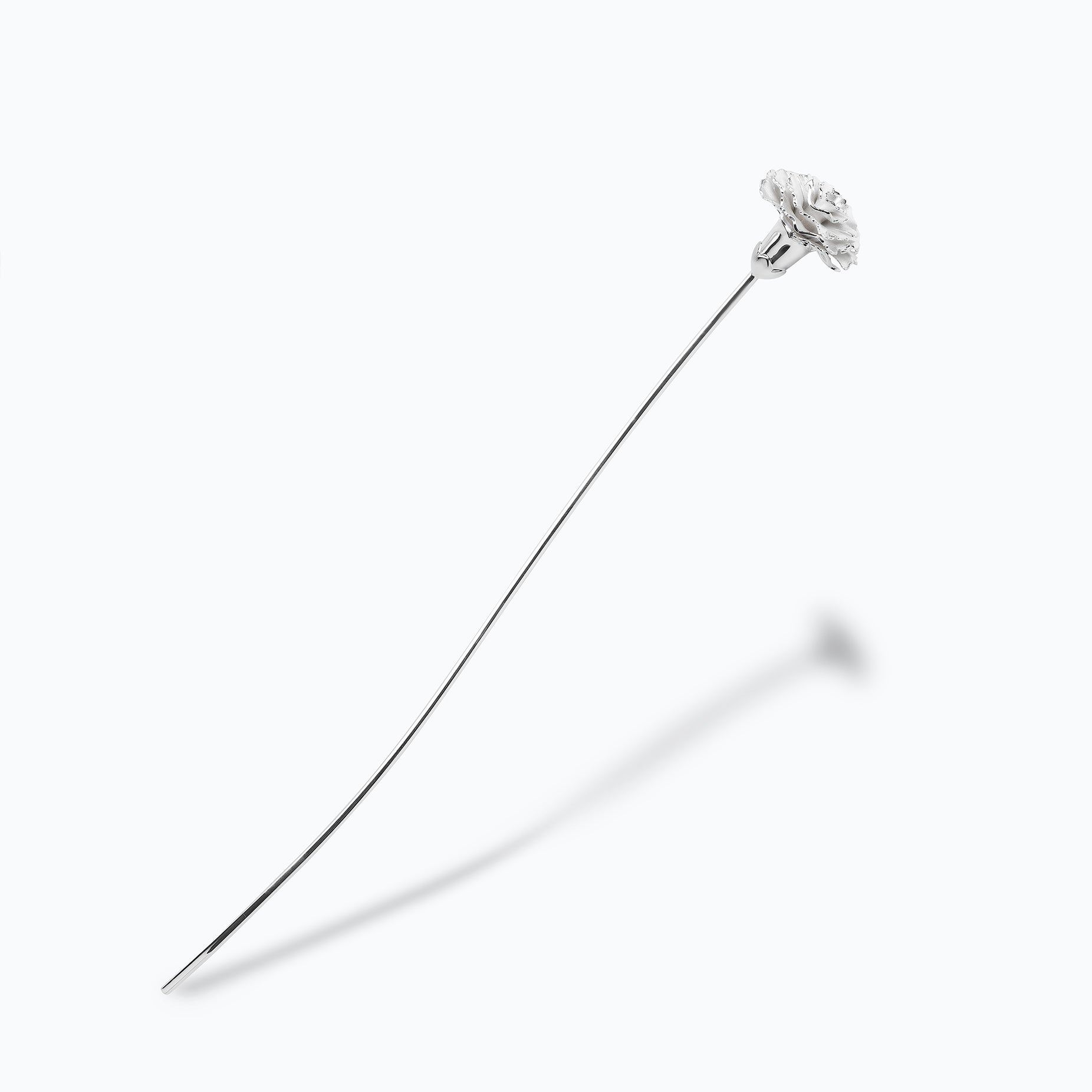 CARNATION FLOWER