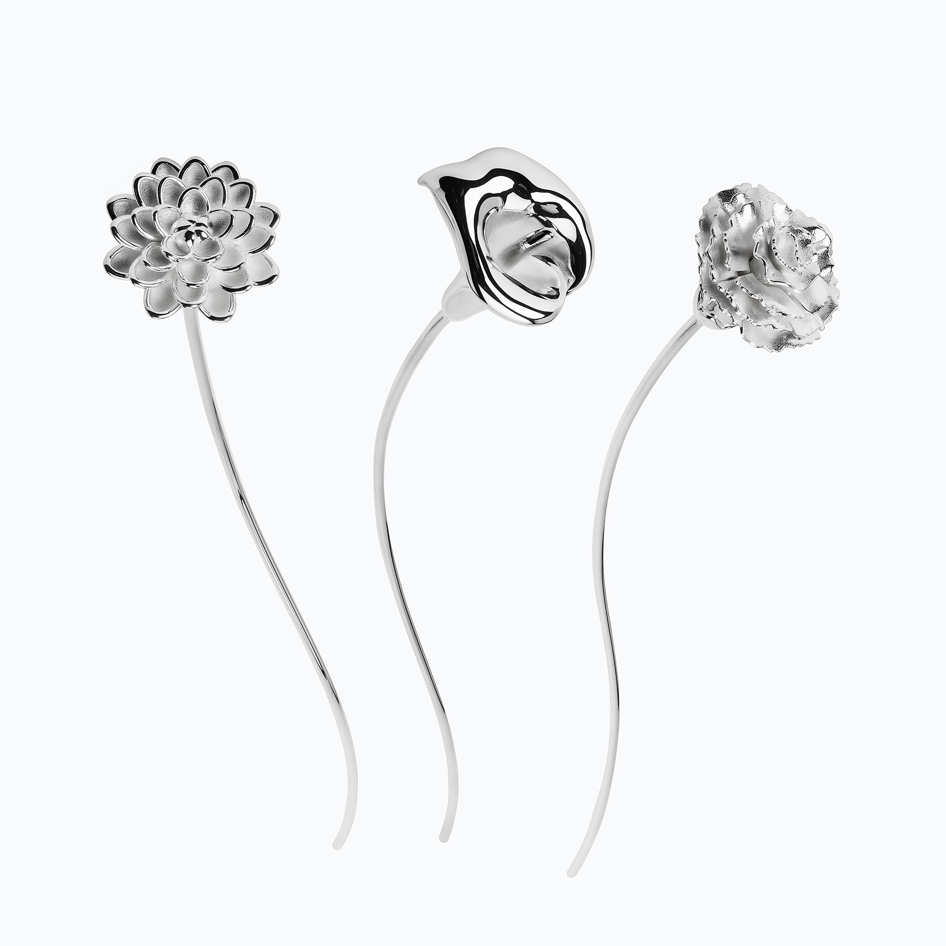 CARNATION FLOWER