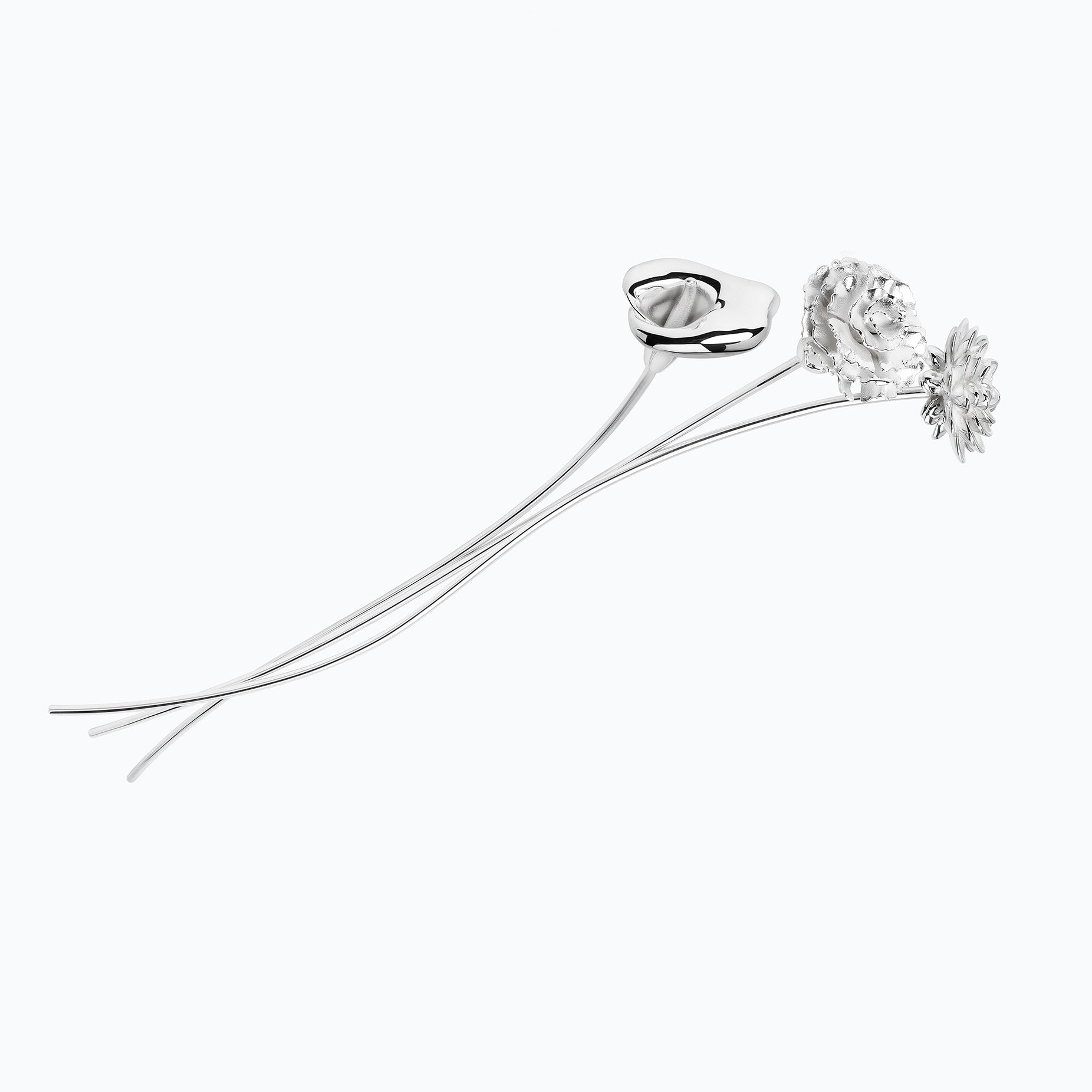 CARNATION FLOWER
