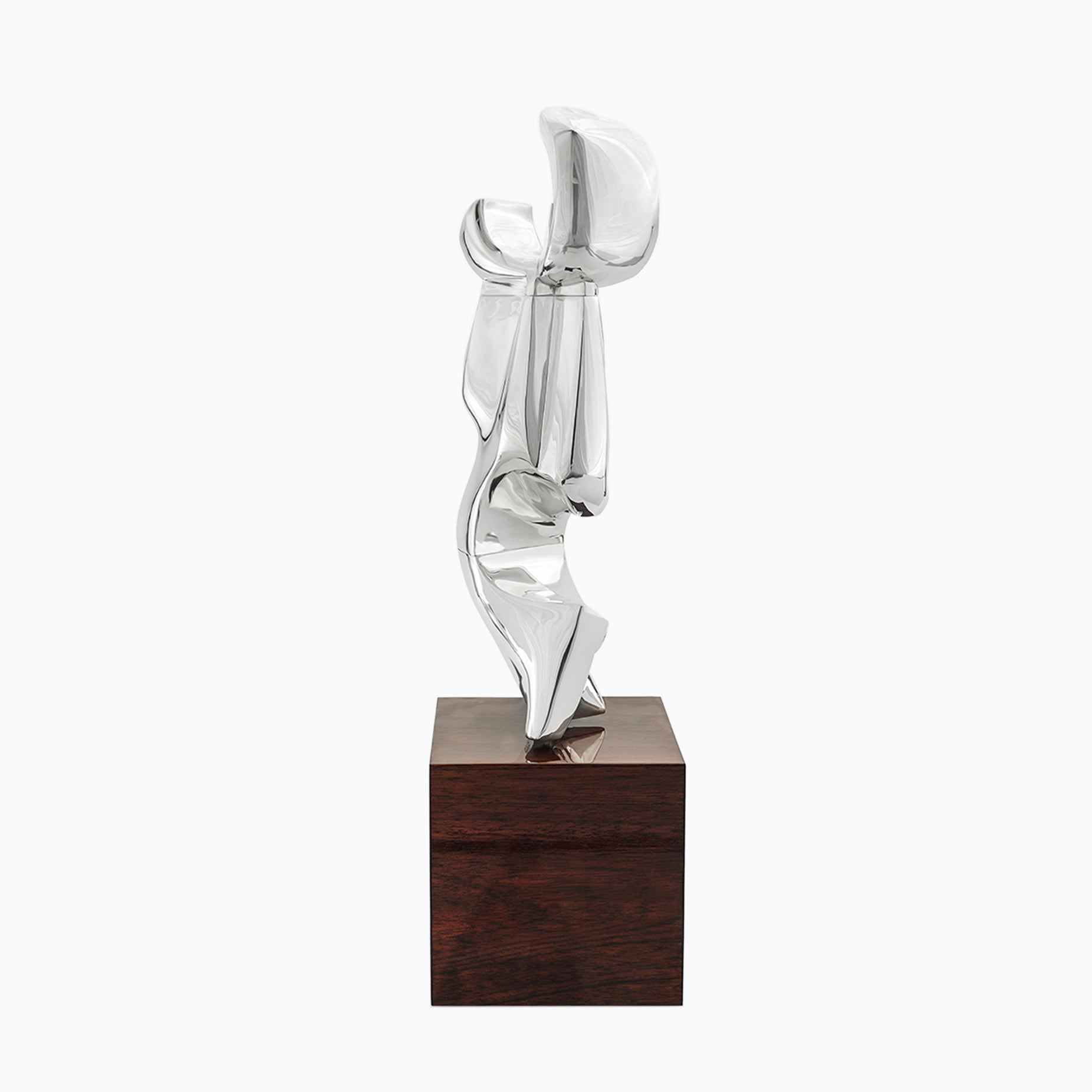 COLUMNA MÓVIL by PEDRO CERVANTES