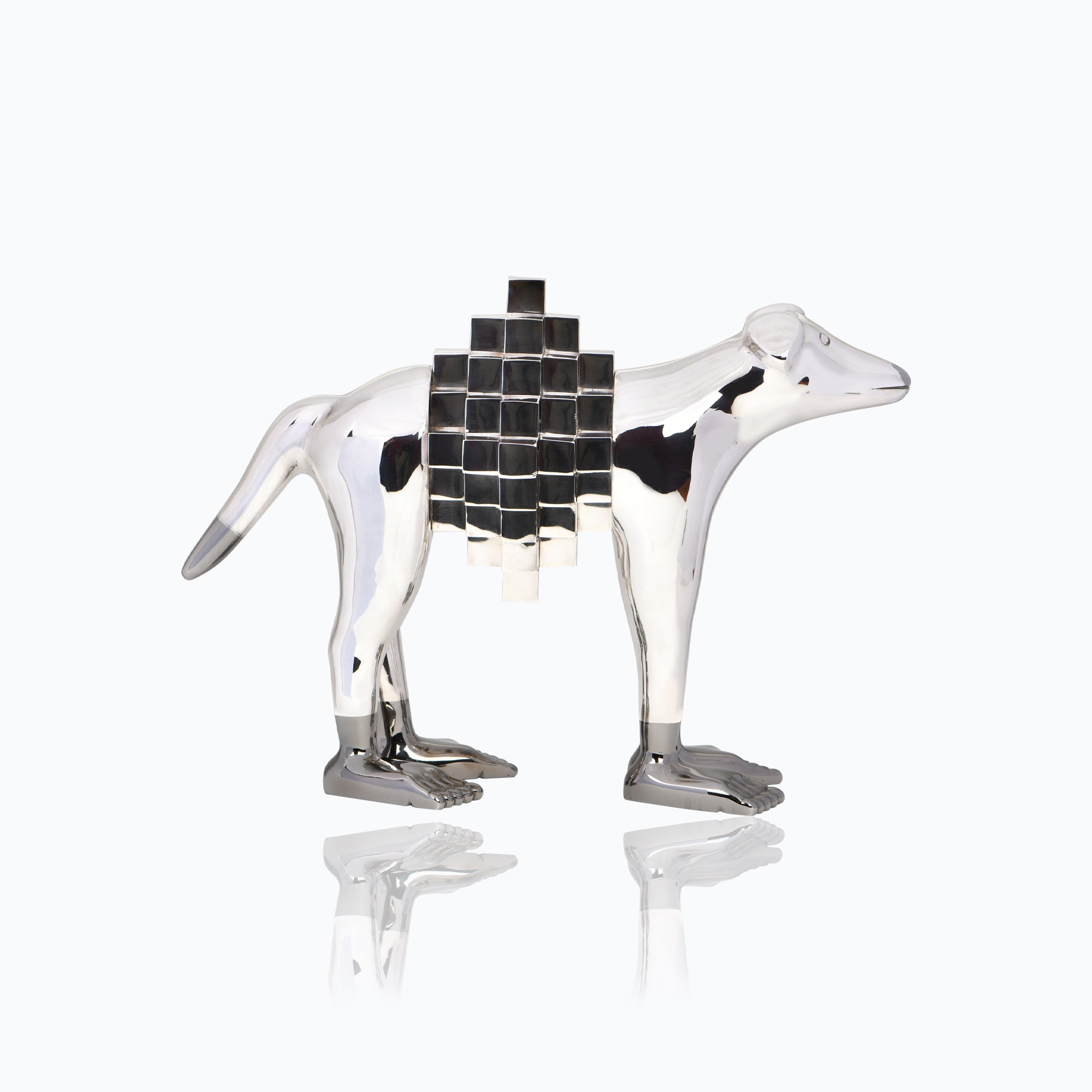 EUCLIDES THE DOG BY PEDRO FRIEDEBERG