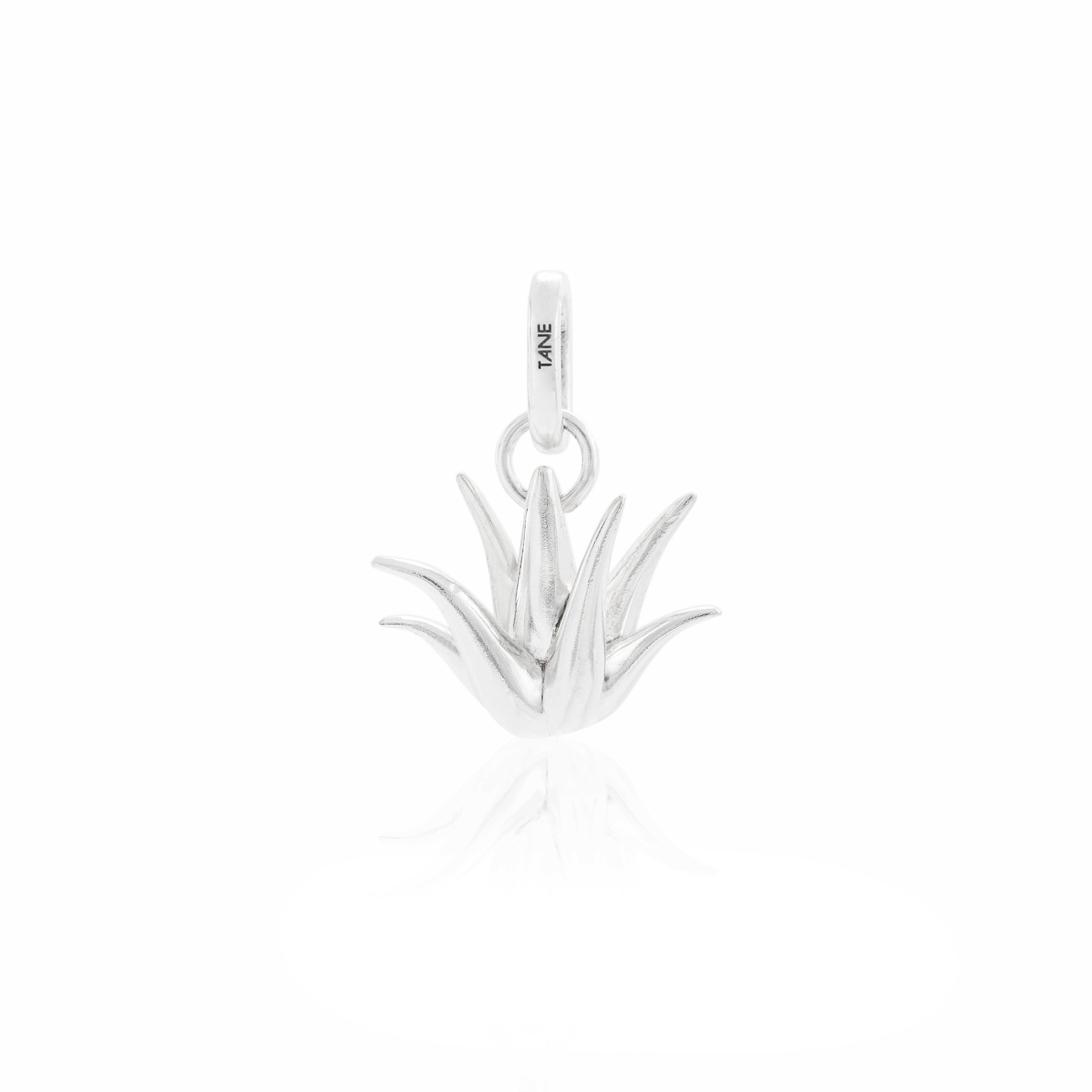 AGAVE CHARM