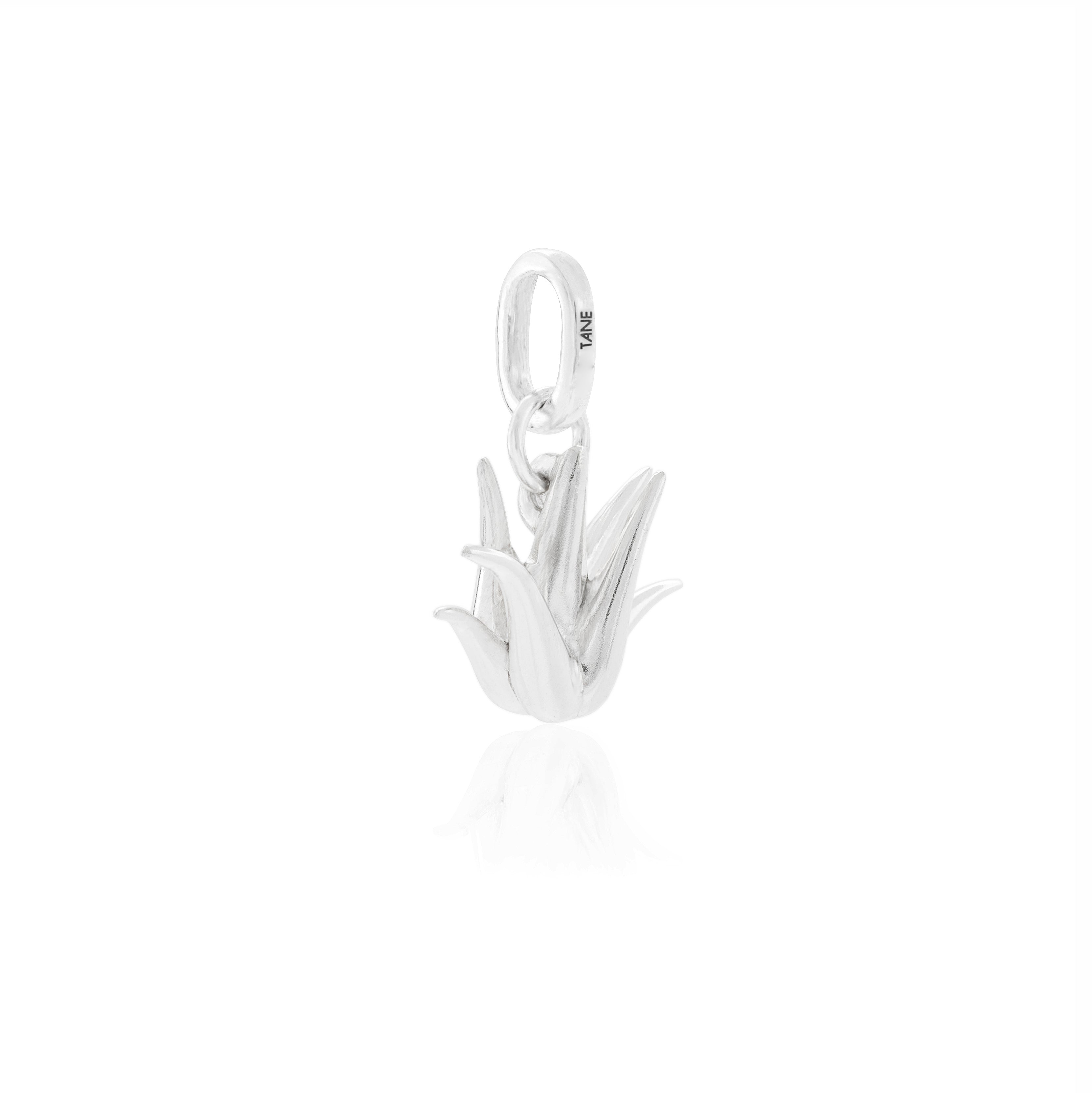 AGAVE CHARM