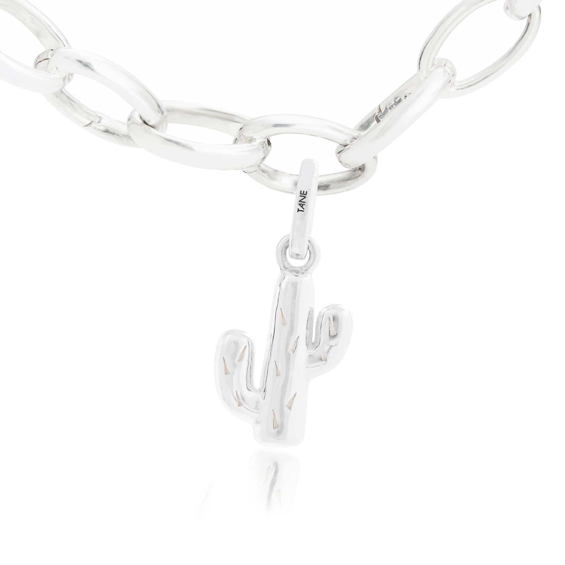 CACTUS CHARM
