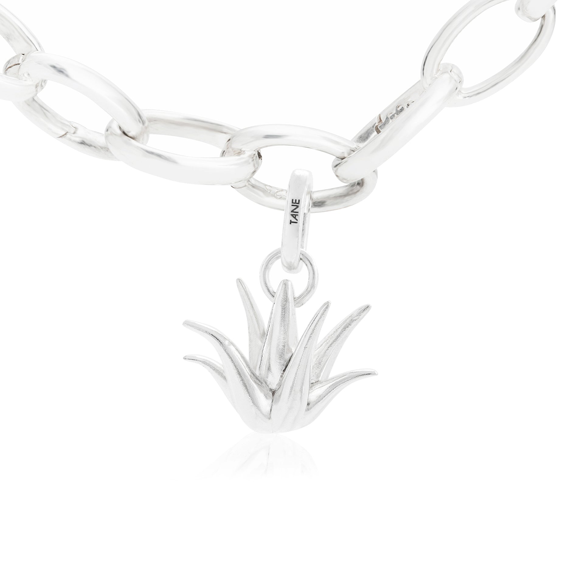 AGAVE CHARM