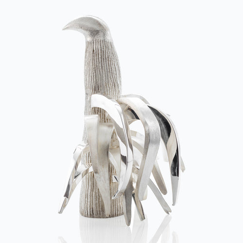 PALOMA TORRES ROOSTER
