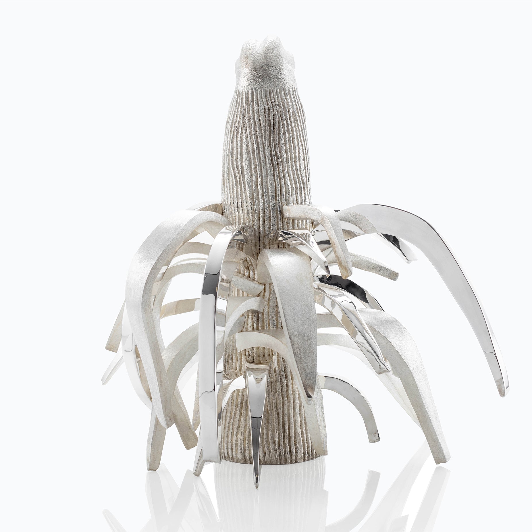 PALOMA TORRES ROOSTER