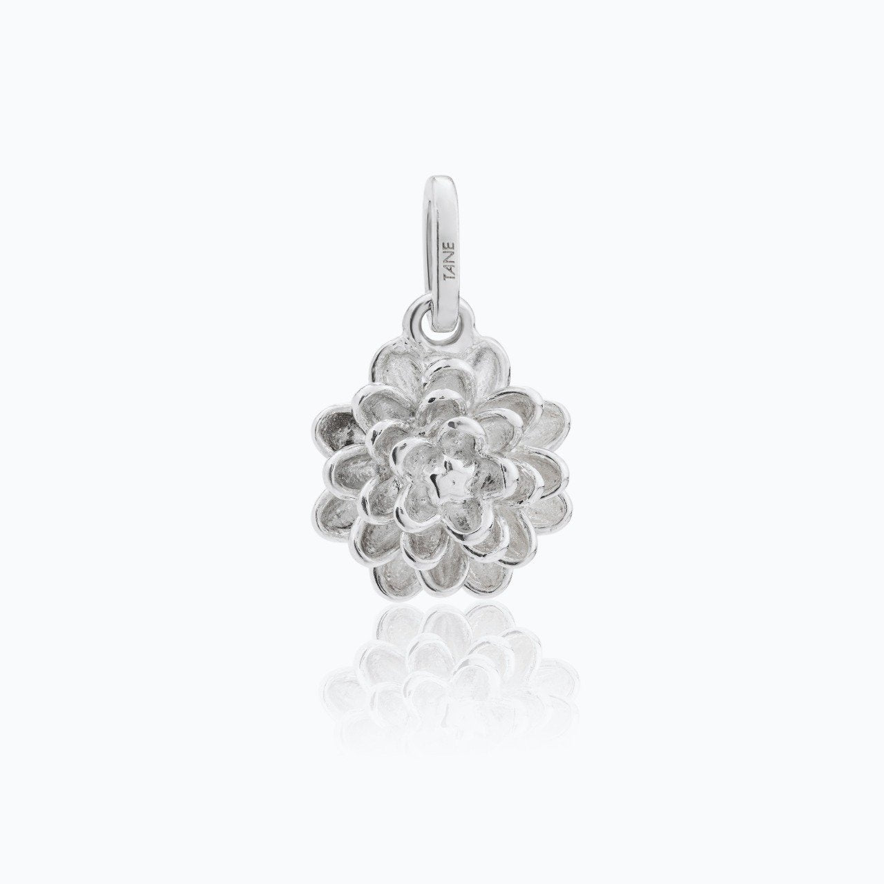 DALIA CHARM