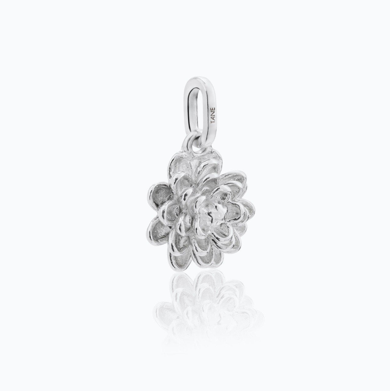 DALIA CHARM