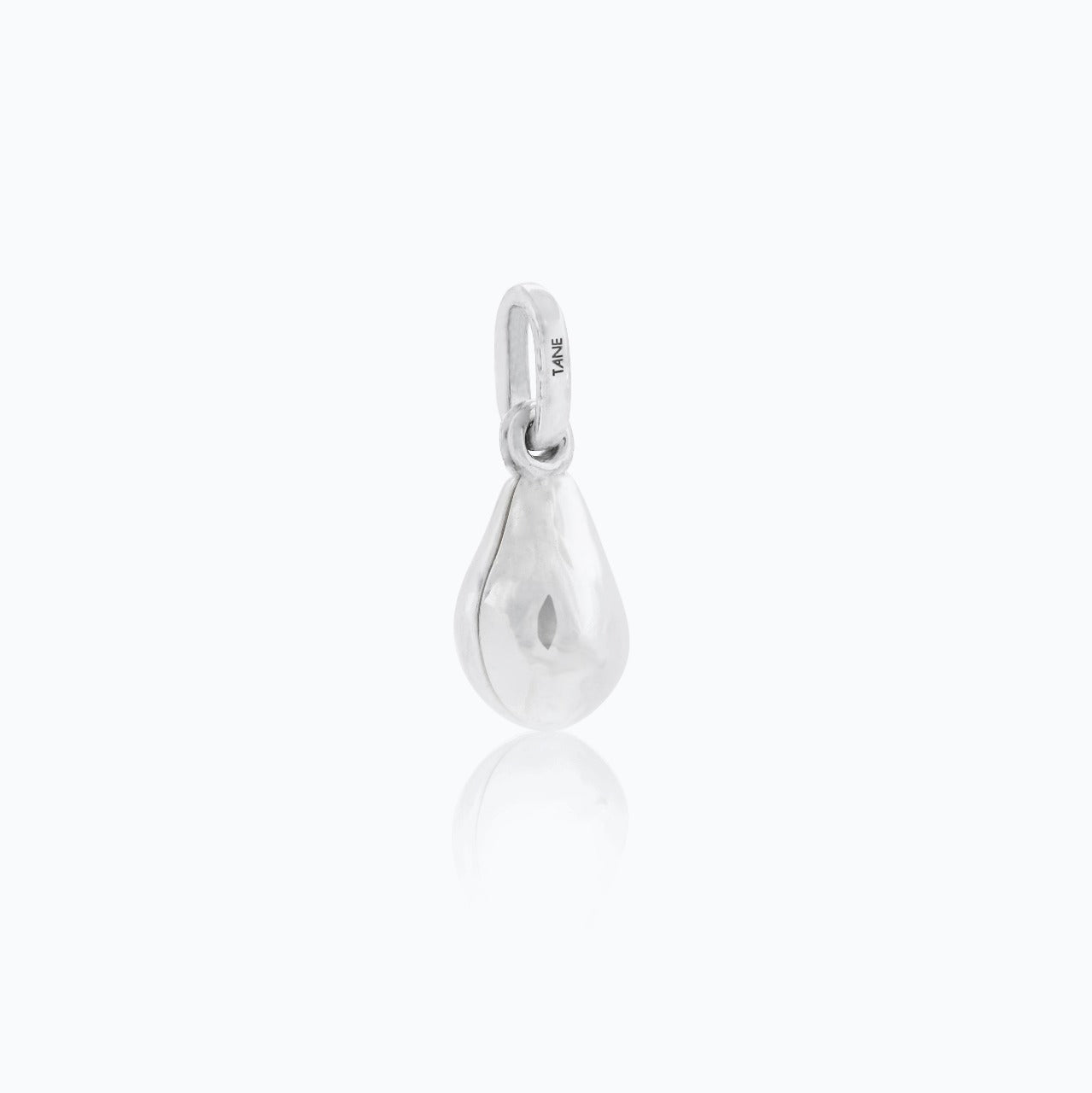 AVOCADO CHARM