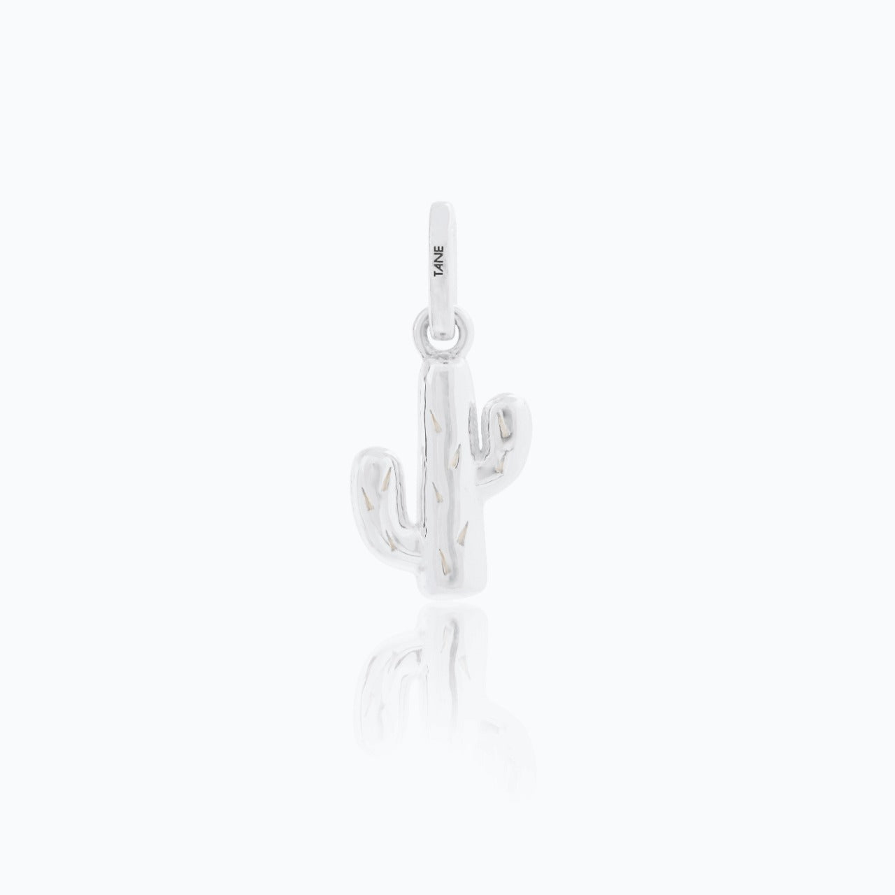 CACTUS CHARM