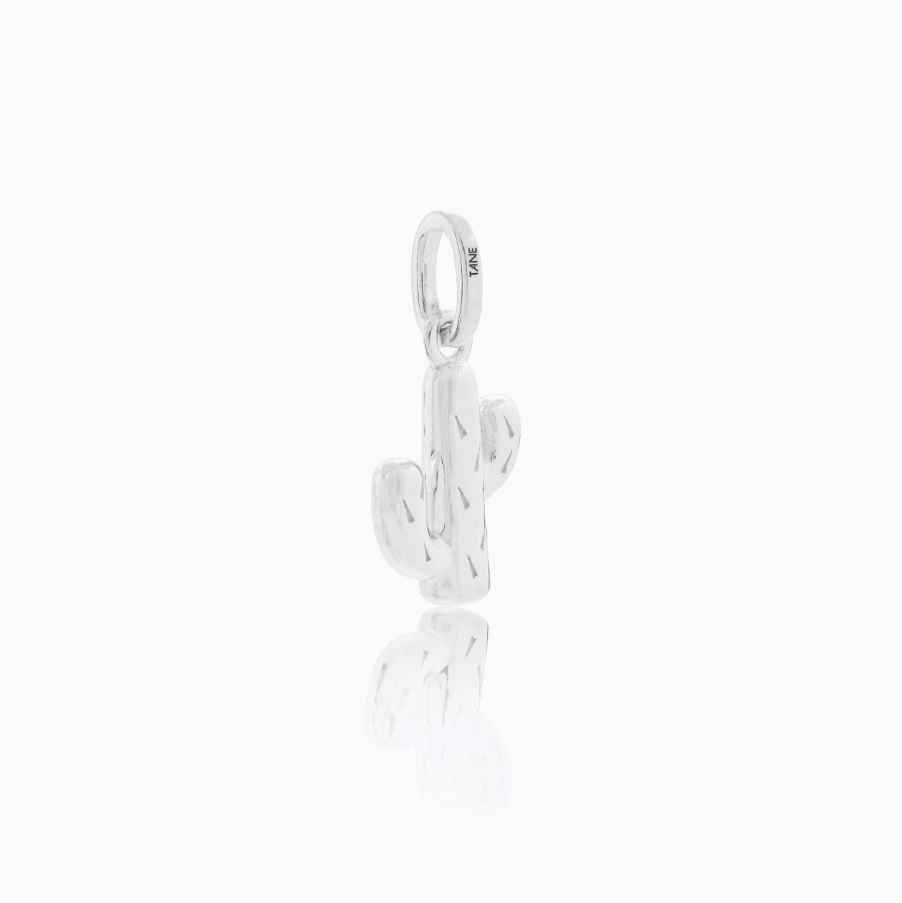 CACTUS CHARM