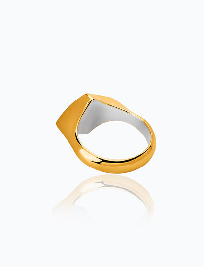 MUCHO BRILLO VERMEIL RING – TANE USA