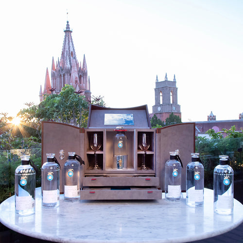 TANE X CASA DRAGONES: THE SAN MIGUEL DE ALLENDE EDITION